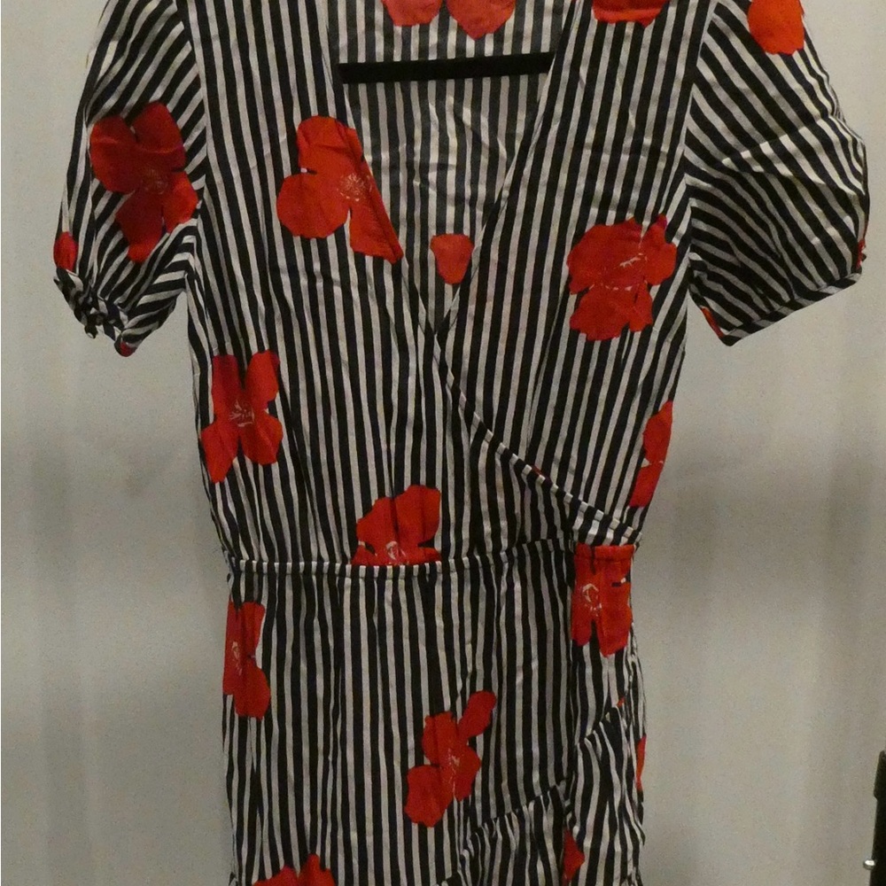 Madewell Black and White Striped Midi Dress with Red Floral Print